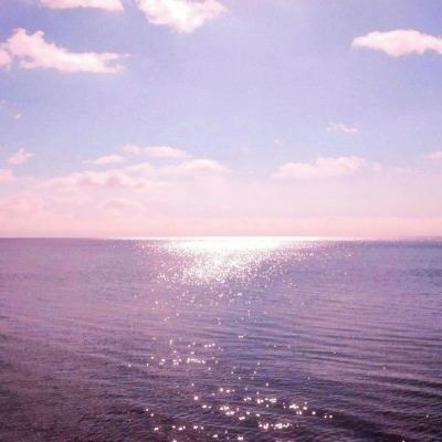 山海情缘手游官方版下载