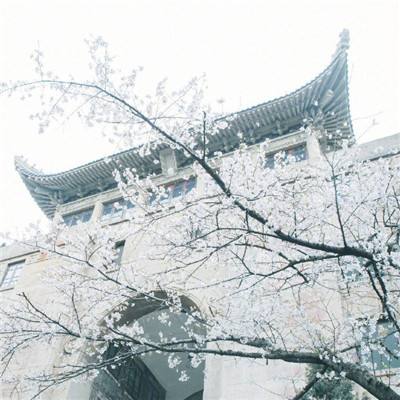 扭蛋回忆手游下载