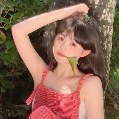 bilibili大头三国游戏下载
